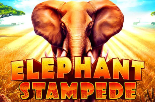 Elephant Stampede