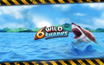 6 Wild Sharks