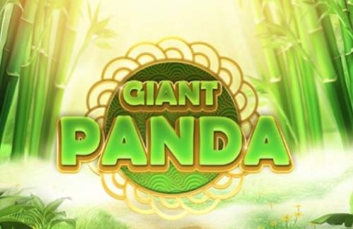 Giant Panda