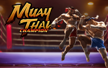 Muay Thai Champion