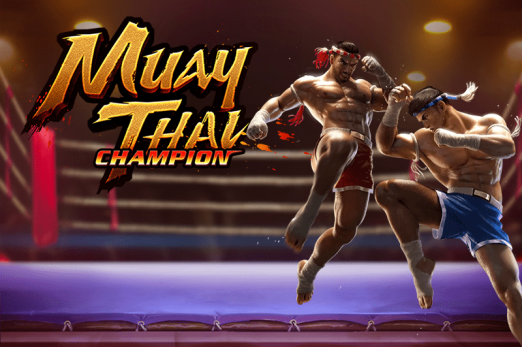 Muay Thai Champion