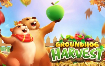 Groundhog Harvest