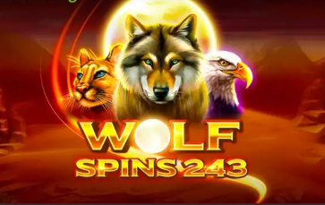 Wolf Spins 243