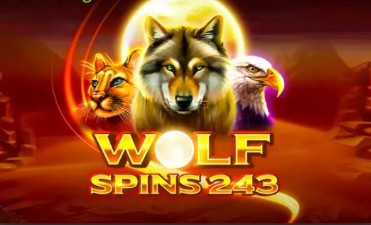 Wolf Spins 243