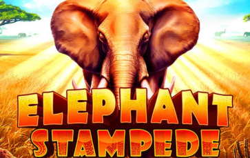 Elephant Stampede