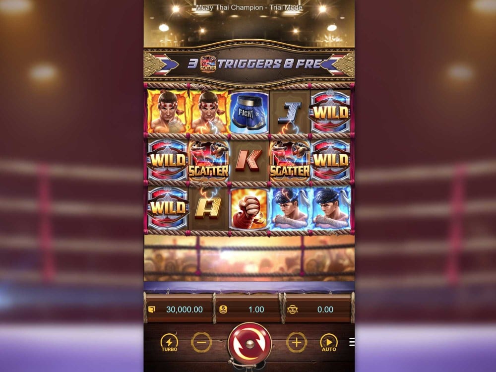 Gameplay of Muay Thai Champion