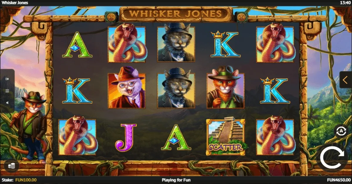 Gameplay of Whisker Jones